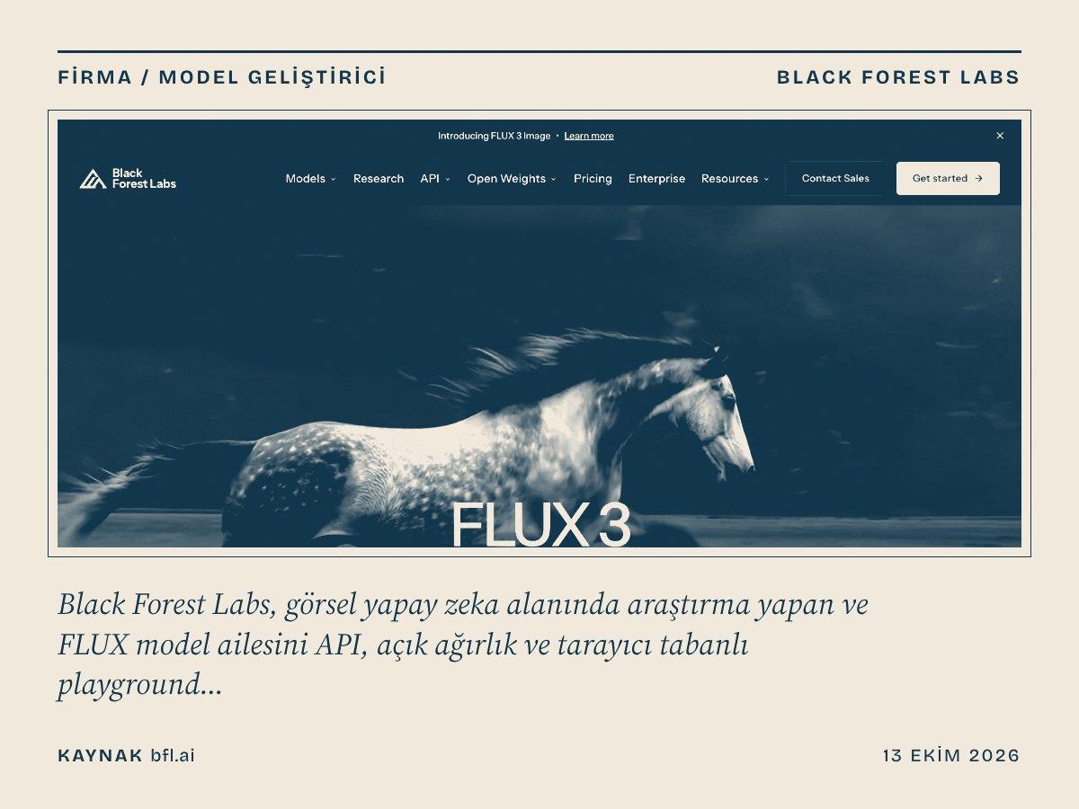 Black Forest Labs kapağı